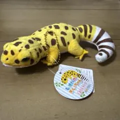 レオパのきいちゃん　くるんとポーズ