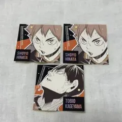 ハイキュー スクエアステッカーコレクション 烏野 日向翔陽 影山飛雄