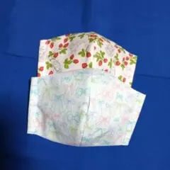 ✤ハンドメイドキッズマスク✤ 　　　《お試し２枚組》