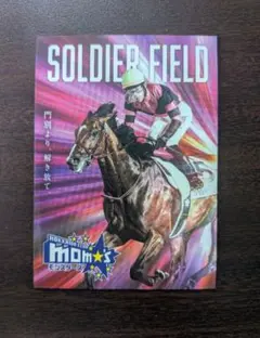 【非売品】ホッカイドウ競馬 トレーディングカード