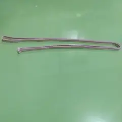 Item thumbnail for item d8575849-1f9e-4e5e-bf40-f0103d6fa111