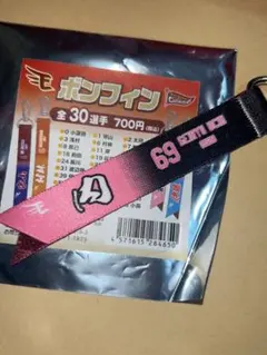 東北楽天イーグルス ボンフィン 苗字 内 星龍