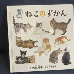 Item thumbnail for item fb982dba-569f-460f-84ca-8c50af8d0e07