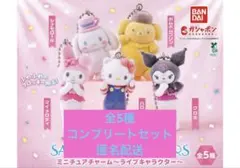 サンリオキャラクターズ ミニチュアチャーム ライブキャラクター キティ シナモン