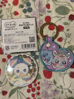 プリキュア 刺繍キーホルダー 缶バッジ