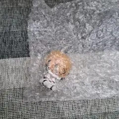 ブリーチ　一番くじ　フィギュア　ヤミー