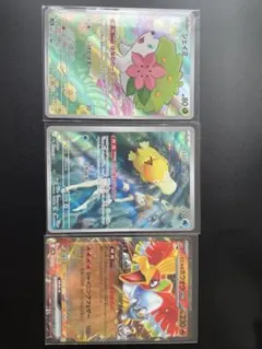 ポケモンカード シェイミ カスミのコダックホウオウ 3枚セット