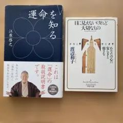 Item thumbnail for item 64171c47-2ade-493b-9c78-c440fac9dc36