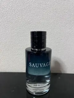 Dior SAUVAGE 香水 100mL ソヴァージュ
