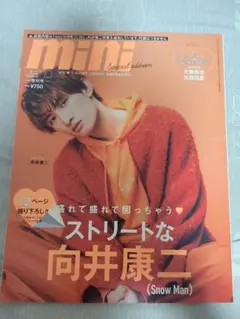 mini 向井康二