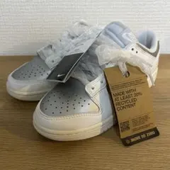 23.5cm ウィメンズ ダンク LOW ネクストネイチャー