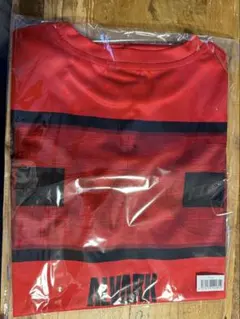 アルバルク東京 Tシャツ クリアファイル セット