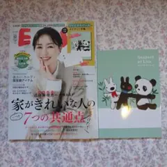エッセ2025年12月号 & リサとガスパール 2026ダイアリー手帳応募券なし