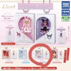 リカちゃん サンリオ ミニチュアパッケージコレクション キキララ