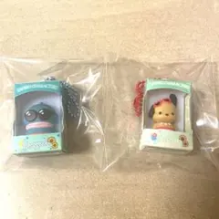 サンリオ　チョコボックス　日焼けハンギョドン　日焼けポチャッコ