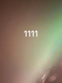 1111