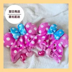 Disney ディズニー　パルパルーザ　ミニー ファンダーランド　ファンキャップ