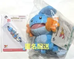 1番くじ ポケモン 30周年 E賞 ミズゴロウ ぬいぐるみ