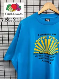 アメリカ製FRUIT OF THE  LOOM フルーツオブザルーム  Tシャツ