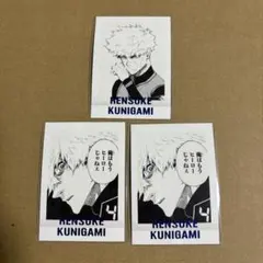 ブルーロック ぱしゃこれ 國神錬介 まとめ売り