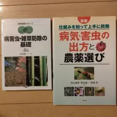 Item thumbnail for item 2a2ffac0-7b3f-45bf-8419-04db579cd461