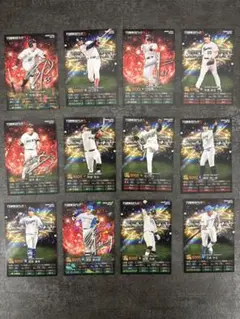 2025年プロ野球トレーディングカード 12枚セット