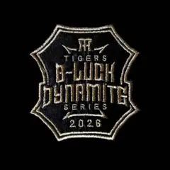 刺繍アイロンワッペン 阪神タイガース BLACK dynamite シルバー 虎