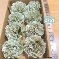 솔라 플라워 2761