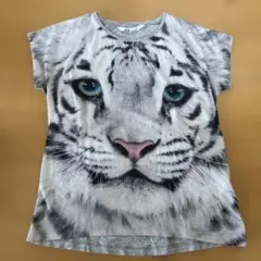 120-130㎝ H&M ホワイトタイガー　トラ　半袖　Tシャツ タイガーのサムネイル
