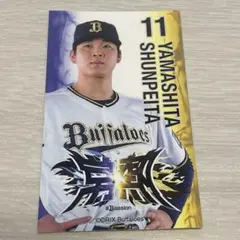 YI※プロフ必読様 リクエスト 3点 まとめ商品