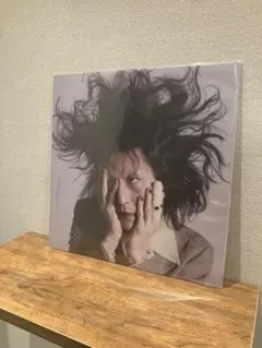 激レア ドレスコーズ 「平凡 」 アナログレコード - メルカリ