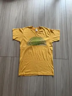 今月中に削除 お早めに⭐︎ vintage Tシャツ 90s y2k
