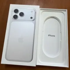 Item thumbnail for item 6591d2bd-dfcc-4843-8acc-857359691314