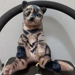 すわっちぃZOO　にゃんこ　オッドアイ黒猫　ぬいぐるみ　完全再現スコ座り