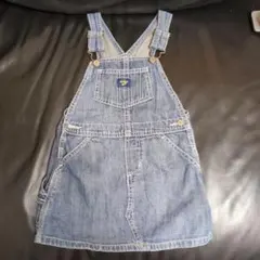 オッシュコッシュ９５センチのサムネイル