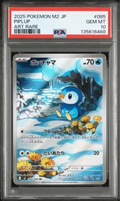 ポッチャマ　AR PSA10