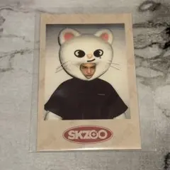 StrayKids ハン SKZ-X SKZOO ポラロイド - メルカリ