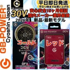 長信ジャパン 30V 2026年GB430ファンバッテリー セット ゴールド①