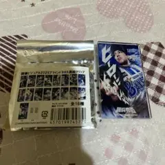 ベイスターズ　東　タオル連結クリップ