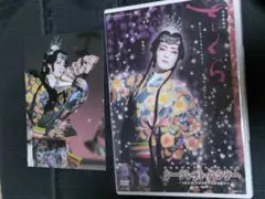 宝塚 星組 さくら　シークレット・ハンター DVD 安蘭けい 遠野あすか