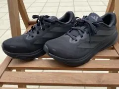 Item thumbnail for item 8ab25f07-2a26-44ae-b7b5-8ef27d733d75