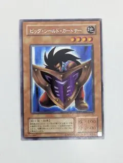 2025年最新】ビック・シールド・ガードナーの人気アイテム