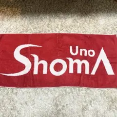 Item thumbnail for item 2387b807-b4c5-4ef5-ab63-8411e5a31ec6