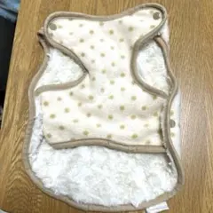 Item thumbnail for item b7deb31f-d568-404f-a85d-e8e4a3527352