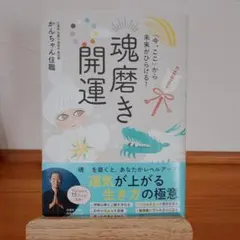 Item thumbnail for item d520ab12-4e18-4a03-9cb1-707c497101bc