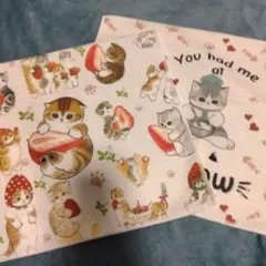 モフサンド　タオル2枚セット