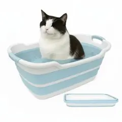 Item thumbnail for item c083c5b7-5812-42e1-a20c-5ff9e1046a90