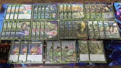 緑単グランセクト　緑単キャベッジ　キャベツ