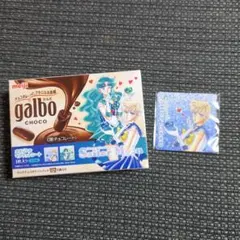 明治 　美少女戦士セーラームーン　ガルボ 　マグネットシート セーラーウラヌス②