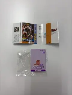 ジョジョの奇妙な冒険 豆ガシャ本 ストーンオーシャン